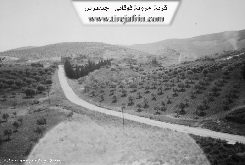 Photo of Merwanê Jorin